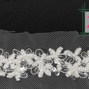 Beautiful Lace Strip